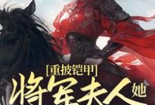 重披铠甲，将军夫人她英姿飒爽小说的免费阅读版本在哪里可以找到？-贝壳文学