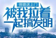 俏媳送上门,被我拉着一起搞发明小说完结版章节免费阅读-贝壳文学