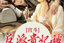 宫斗：反派贵妃被皇帝独宠了小说有没有完结版在线？-贝壳文学