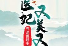 小说《医妃又美又飒，专治傲娇王爷》在线章节阅读-贝壳文学