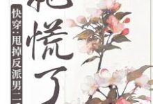 快穿:甩掉反派男二后,她慌了小说无弹窗阅读的网站推荐-贝壳文学