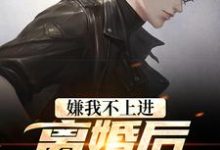 嫌我不上进？离婚后我开挂了小说的最新章节在哪里更新？免费追踪阅读-贝壳文学