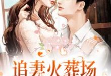 楼藏月闻延舟是哪本书的主角？寻找追妻火葬场！狗男人被虐惨啦免费阅读-贝壳文学