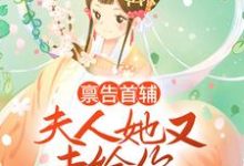 禀告首辅，夫人她又去给你物色美女了小说，禀告首辅，夫人她又去给你物色美女了免费阅读-贝壳文学