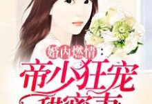 婚内燃情：帝少狂宠甜蜜妻小说的免费阅读版本在哪里可以找到？-贝壳文学