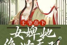 小说《王爷在下：女婢她绝世无双》在线章节阅读-贝壳文学