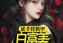徒手搓机甲，白富美女神惊呆了（徐帆王艺雪）在线免费阅读-贝壳文学