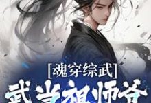 魂穿综武：武当祖师爷出山了主角张三丰小说完结版章节在线阅读-贝壳文学