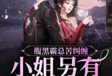 主角叫陆慎司沈漾小说腹黑霸总苦纠缠,小姐另有心上人章节免费阅读-贝壳文学