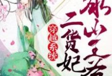 穿越系统：冰山王爷二货妃（安心凌宇轩安惜滢凌熠良）在线免费阅读-贝壳文学