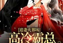 求追妻火葬场：高冷霸总跪求我复合小说的全文免费阅读链接-贝壳文学