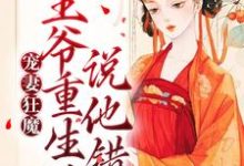 小说《宠妻狂魔：王爷重生后说他错了》章节免费阅读-贝壳文学