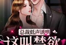 小说《总裁低声诱哄,这叫禁欲淡漠?》在线章节阅读-贝壳文学