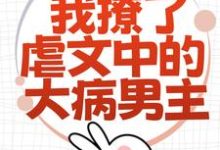 为了活命，我撩了虐文中的大病男主林瑧陆厌小说在线章节免费阅读-贝壳文学