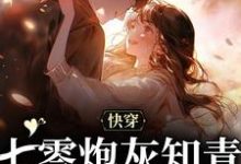 完结版《快穿:七零炮灰知青的逆袭之路》章节阅读-贝壳文学