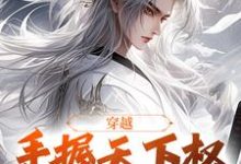 穿越:手握天下权,醉卧美人膝这本小说怎么样?免费在线阅读试试-贝壳文学