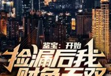 小说《鉴宝：开始捡漏后我财色无双》在线章节阅读-贝壳文学
