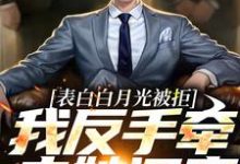 小说《表白白月光被拒，我反手牵走她闺蜜》在线章节阅读-贝壳文学