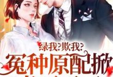求推荐可以免费阅读绿我？欺我？冤种原配掀桌不干了小说的网站-贝壳文学
