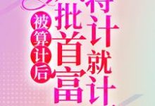 主角林冉陆霆骁小说完结版在线阅读，被算计后，疯批首富将计就计了免费看-贝壳文学