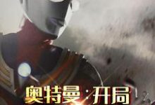 已完结小说《奥特曼:开局变身迪迦》章节免费阅读-贝壳文学