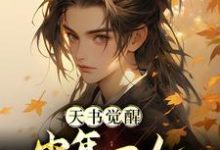 天书觉醒:少年一人一棍斩仙帝小说全文哪里可以免费看?-贝壳文学