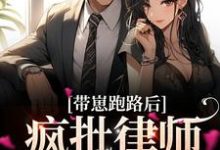 《带崽跑路后,疯批律师急哭了》小说大结局免费试读 方棠沈丛南小说-贝壳文学