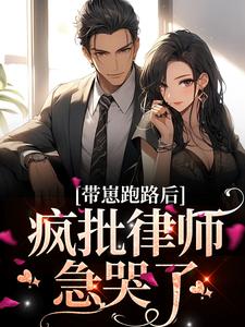 《带崽跑路后，疯批律师急哭了》小说大结局免费试读 方棠沈丛南小说