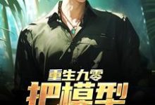重生九零：把模型改成战机章节免费在线阅读，杜仲完结版-贝壳文学