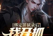 绑定罪狱录后，我开抓犯事异人小说，绑定罪狱录后，我开抓犯事异人免费阅读-贝壳文学