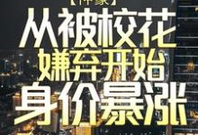 求推荐可以免费阅读神豪：从被校花嫌弃开始身价暴涨小说的网站-贝壳文学