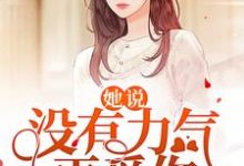 完结版《她说：没有力气再爱你》免费阅读-贝壳文学