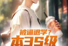 在线搜索陈启的完整小说,免费阅读被逼退学?本3S级弓手不装了-贝壳文学