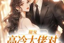 甜宠：高冷大佬对娇娇犯花痴了小说的无弹窗阅读体验，寻找免费阅读网站-贝壳文学