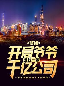 赘婿：开局爷爷送我一家千亿公司最新章节，赘婿：开局爷爷送我一家千亿公司章节在线阅读
