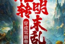 寻找能够免费阅读穿成驾崩帝皇,玩转明末乱世小说的平台-贝壳文学