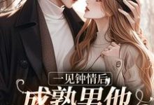 完整版的一见钟情后,成熟男他拐走小甜妹小说在哪里可以免费读到?-贝壳文学