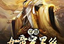 免费在线阅读穿越:女帝穿黑丝,这是我能看的么小说的正规网站有哪些?-贝壳文学
