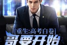 哪里可以免费读到王易黄唯的完整故事？寻找重生：高考白卷，哥要开始摆烂啦！-贝壳文学