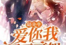 在线搜索顾言笙陆寒霆的完整小说,免费阅读陆先生,爱你我罪无可恕-贝壳文学