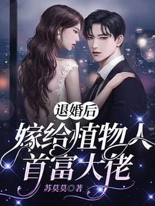 退婚后，嫁给植物人首富大佬小说，退婚后，嫁给植物人首富大佬叶轻绾厉煊然