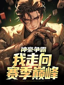 《神豪争霸：我走向赛季巅峰》小说主角叶枫新丨叶公子章节章节免费在线阅读