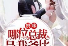 陆宁溪封呈衍景澈景忆是哪本书的主角?寻找妈咪,哪位总裁是我爸比免费阅读-贝壳文学