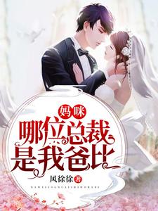陆宁溪封呈衍景澈景忆是哪本书的主角？寻找妈咪，哪位总裁是我爸比免费阅读