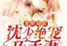 先婚后爱:沈少绝宠巧手妻小说完结版章节免费阅读-贝壳文学