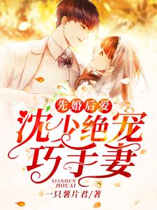 先婚后爱：沈少绝宠巧手妻小说完结版章节免费阅读
