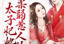 小说《甜蜜宠爱：太子妃她柔弱惹人怜》章节阅读-贝壳文学