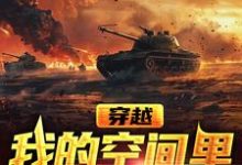 穿越，我的空间里有海量武器最新章节，穿越，我的空间里有海量武器免费阅读-贝壳文学