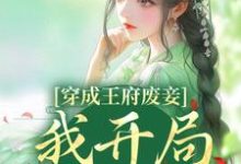 主角乔容锦小说完结版在线阅读，穿成王府废妾，我开局被陷害免费看-贝壳文学