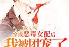 顾妙妙司逸北为主角的小说叫什么?免费看穿成恶毒女配后我被团宠了-贝壳文学